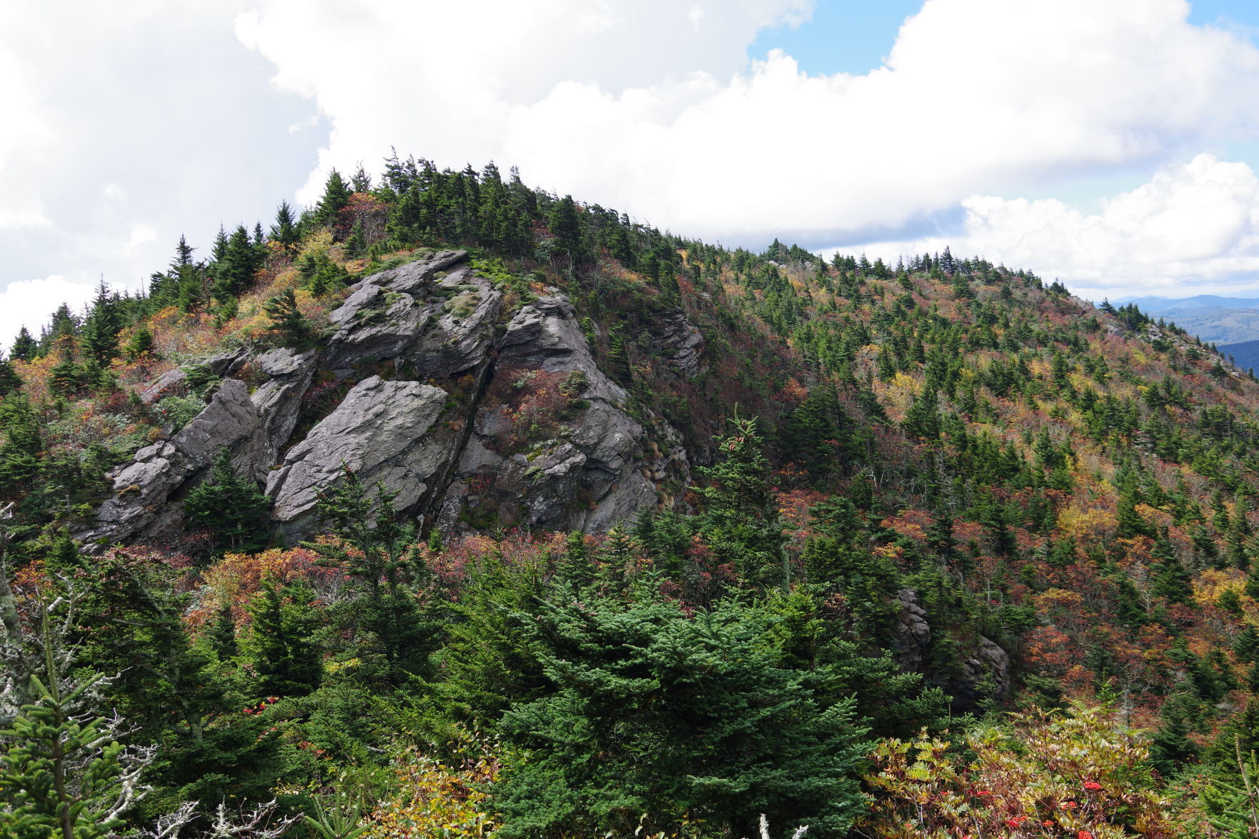 Fall Colors6